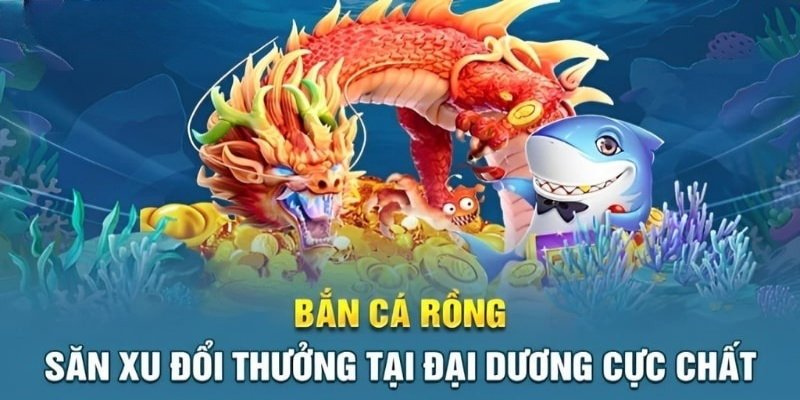 Vì sao săn cá lại thu hút người chơi mạnh mẽ