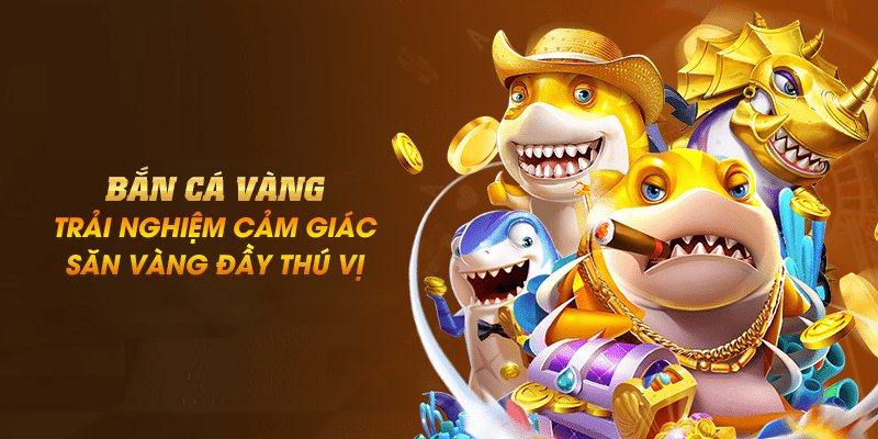 Tìm kinh nghiệm từ các chuyên gia