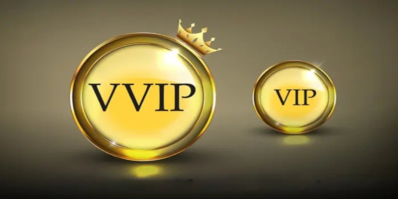 Thông tin về thành viên VIP