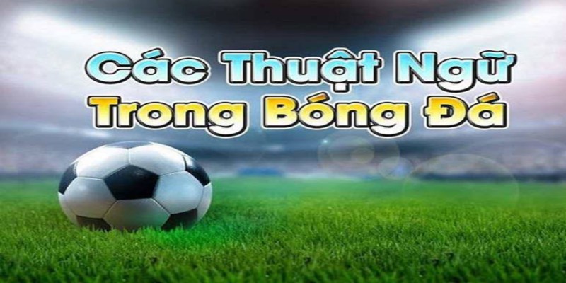 Thuật ngữ cá độ bóng đá được hiểu ra sao?