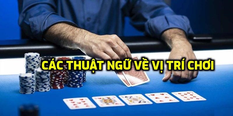 Tổng hợp thuật ngữ Poker phổ biến về vị trí