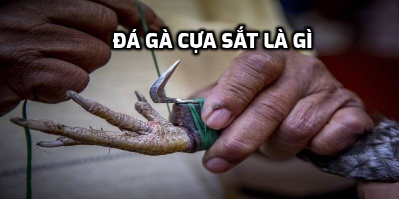 Đá gà cựa sắt được định nghĩa là gì?