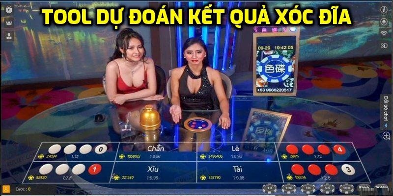 Dự đoán kết quả xóc đĩa